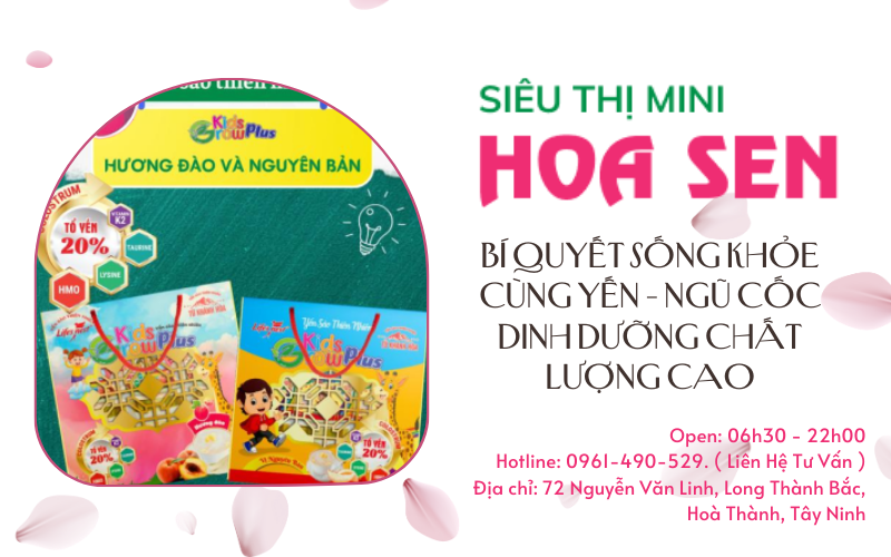 Yến - Ngũ cốc dinh dưỡng