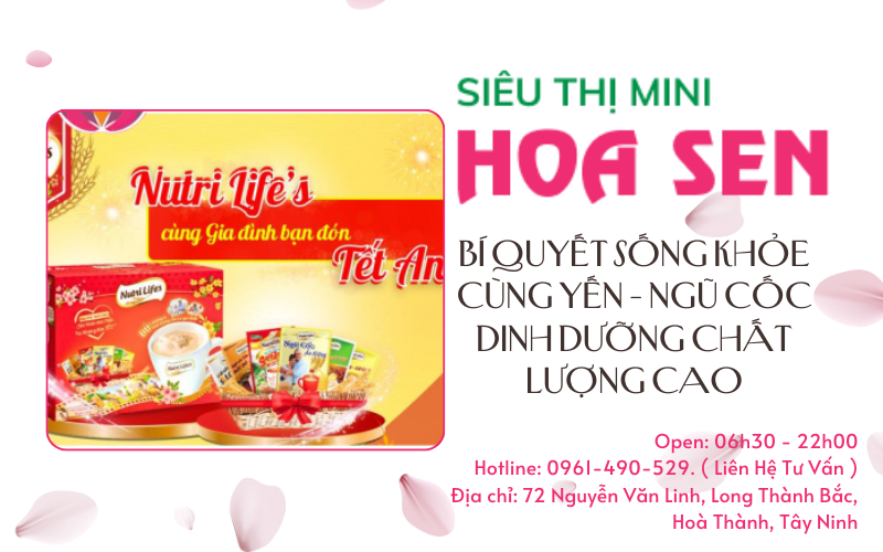Yến - Ngũ cốc dinh dưỡng