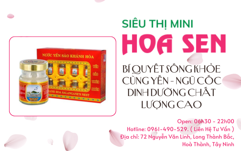 Yến - Ngũ cốc dinh dưỡng